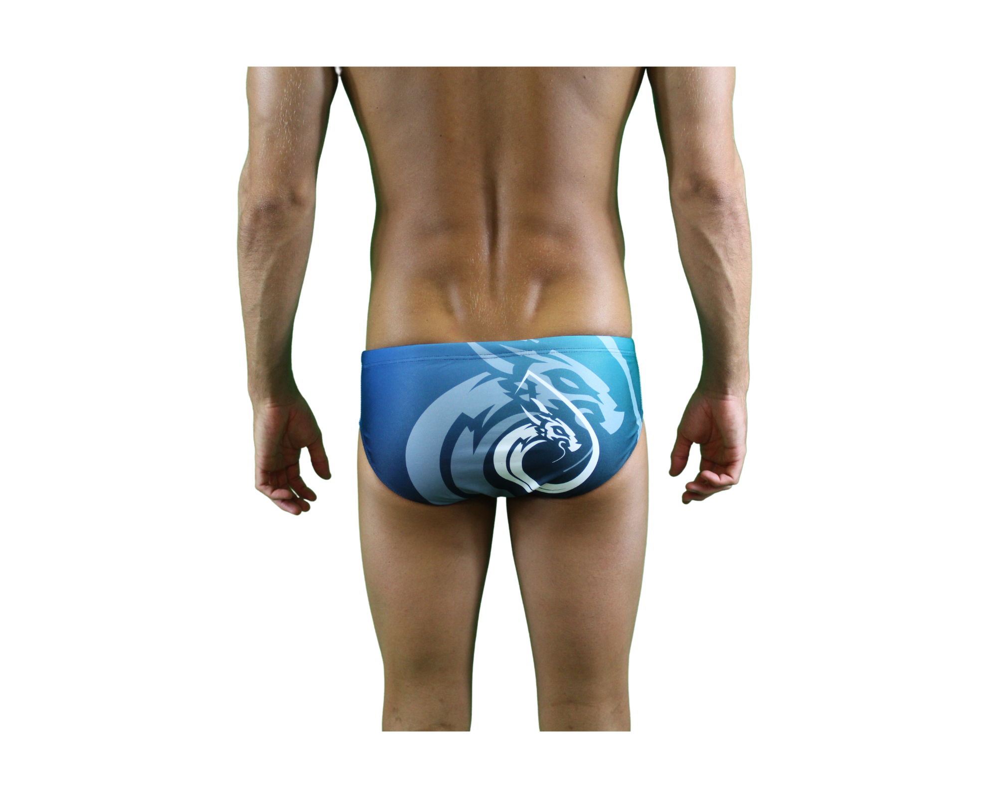 Maillot de bain homme SUIJI Dragon Green Brief